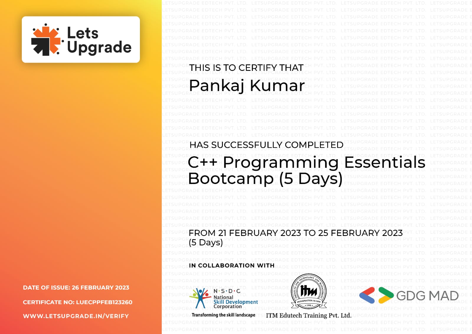 C++ Programming Certificate